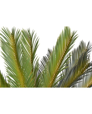 Cykas w doniczce..120cm - sztuczna roślina