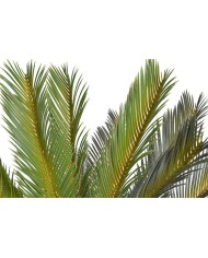 Cykas w doniczce..120cm - sztuczna roślina