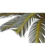 Cykas w doniczce..120cm - sztuczna roślina