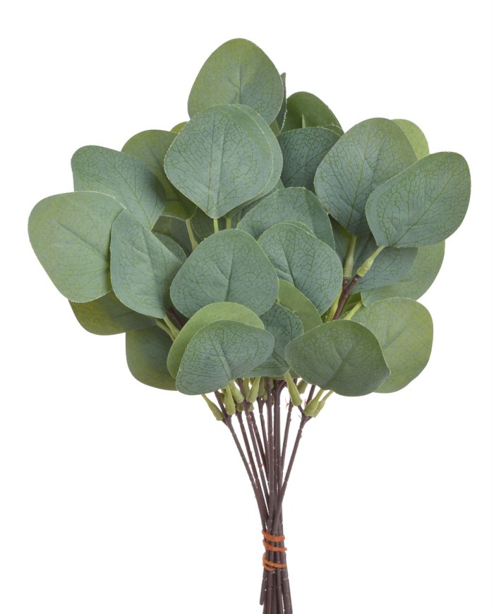 Eukaliptus populus 12szt-pęczek...28cm....GREEN