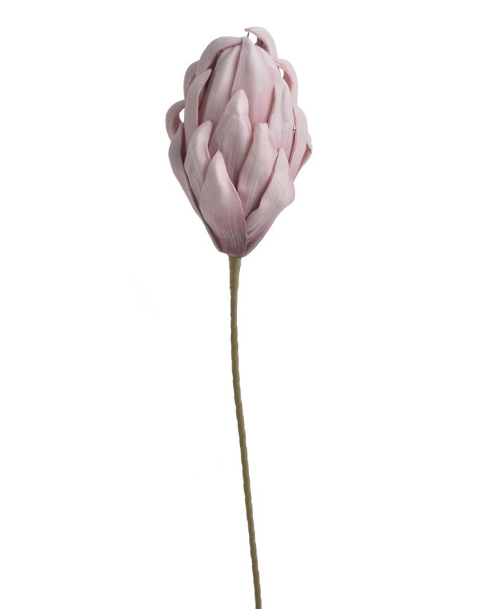 Protea x1 PIANKA..73cm..48-8 pcs......AO PURPLE