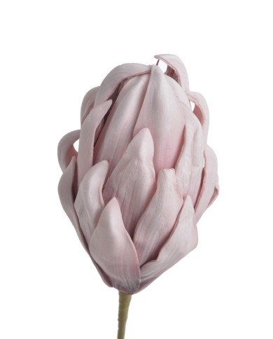 Protea x1 PIANKA..73cm..48-8 pcs......AO PURPLE