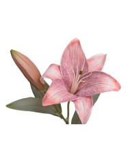 Lilia 1+1..53cm..120-12 pcs