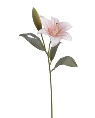 Hortensja x1..67cm..72-12 pcs