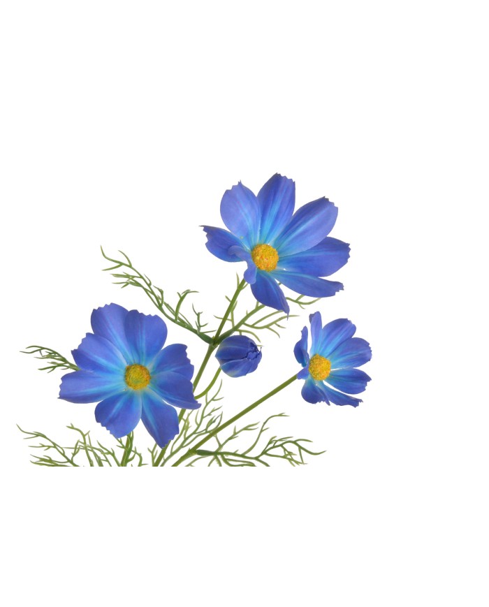 Kosmos..72cm..288-48 pcs