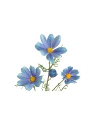 Kosmos..72cm..288-48 pcs