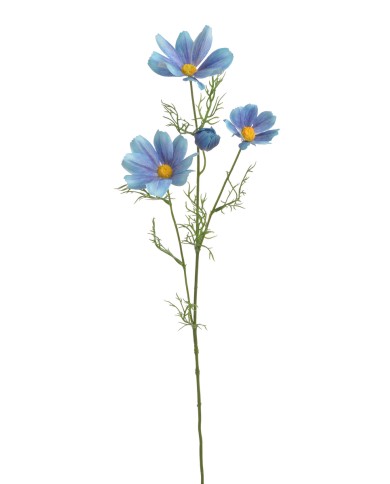 Kosmos..72cm..288-48 pcs