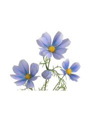 Kosmos..72cm..288-48 pcs