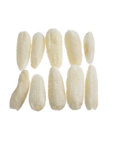 Luffa small wyb. 10szt-pacz - susz...BLEACH