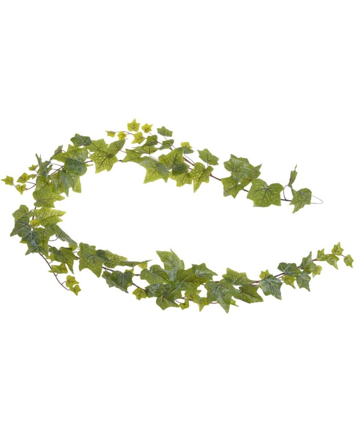 Bluszcz pospolity girlanda..173cm.... GREEN