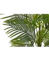 Palma w doniczce 160cm....4-1 pcs......GREEN