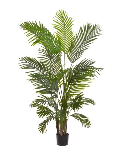 Palma w doniczce 160cm....4-1 pcs......GREEN