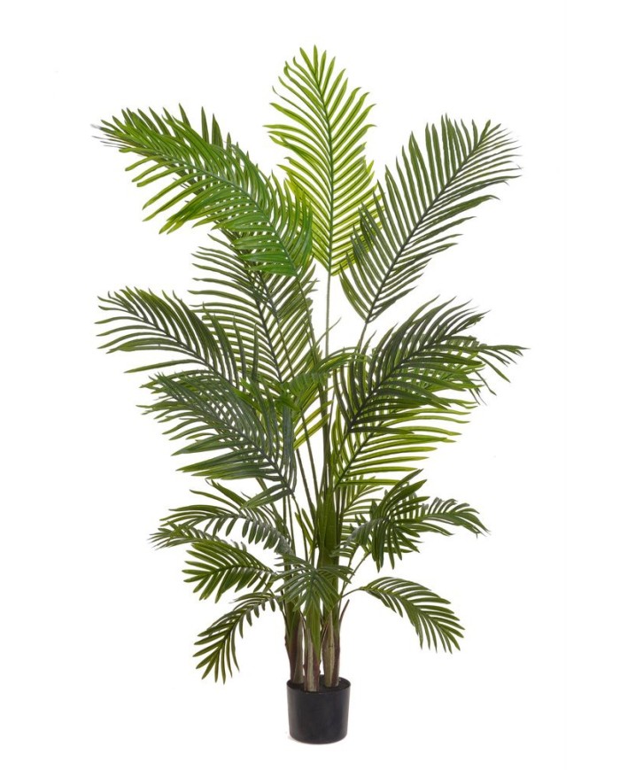 Palma w doniczce 160cm....4-1 pcs......GREEN