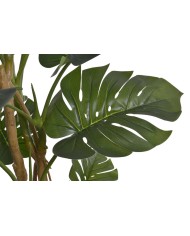 Monstera 210cm w doniczce....2-1 pcs......GREEN