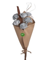 Shola Cynia paczka - susz..+-60cmH x 7cmW...6 pcs-bag