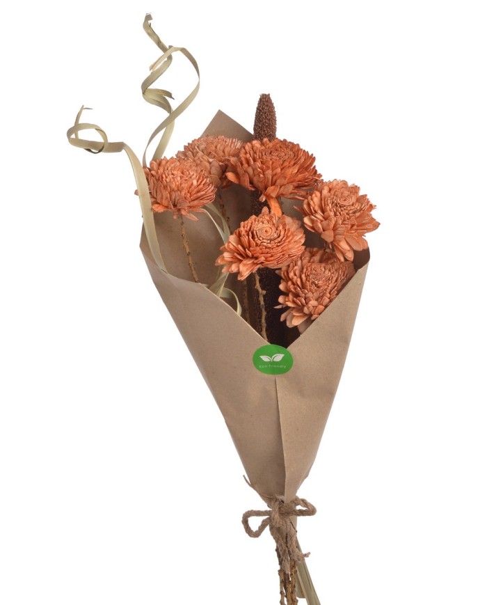 Shola Cynia paczka - susz..+-60cmH x 7cmW...6 pcs-bag