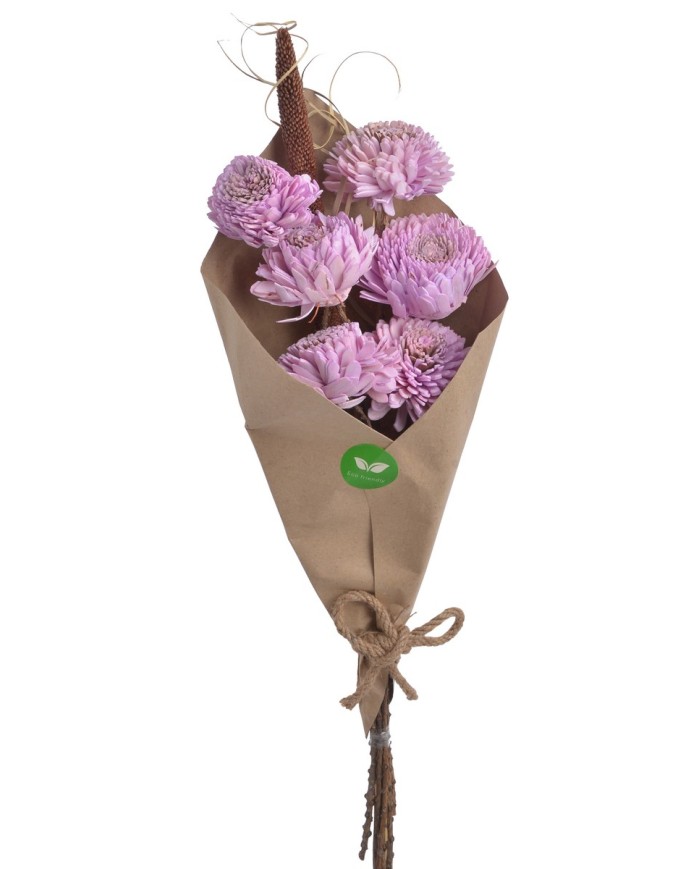 Shola Cynia paczka - susz..+-60cmH x 7cmW...6 pcs-bag