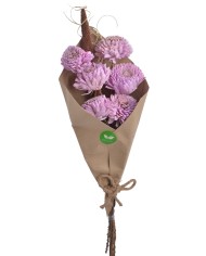 Shola Cynia paczka - susz..+-60cmH x 7cmW...6 pcs-bag