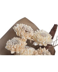 Shola Cynia paczka - susz..+-60cmH x 7cmW...6 pcs-bag