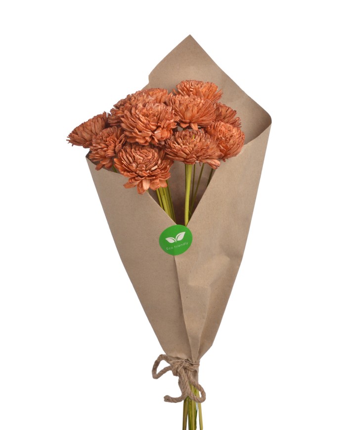 Cynia paczka - susz..+-40cmL x 5cmW...12 pcs-bag