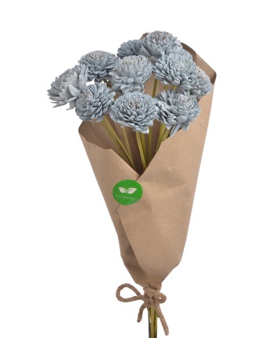 Cynia paczka - susz..+-40cmL x 5cmW...12 pcs-bag