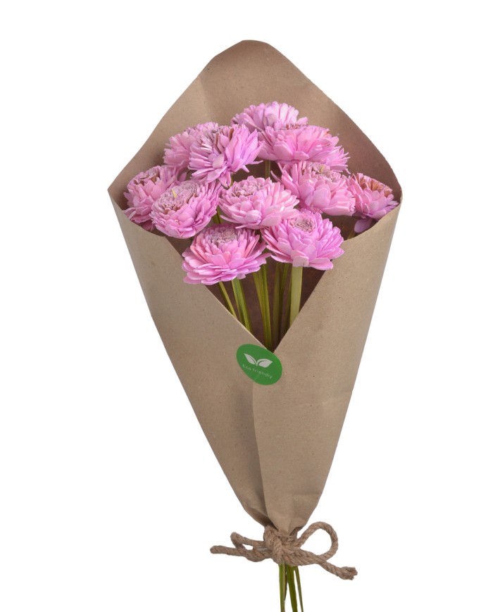 Cynia paczka - susz..+-40cmL x 5cmW...12 pcs-bag