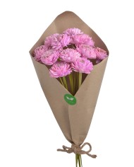 Cynia paczka - susz..+-40cmL x 5cmW...12 pcs-bag