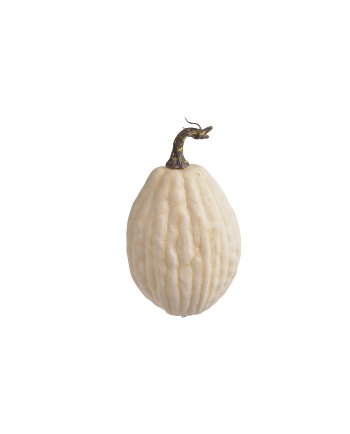 Dynia..10cmØ, 18cmH..72-6 pcs......01 CREAM