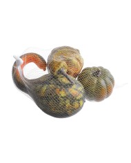 Dynie mix 7szt-pacz..7,5-23cmØ, 6,5-14cmH..24-6 bags....GR-OR