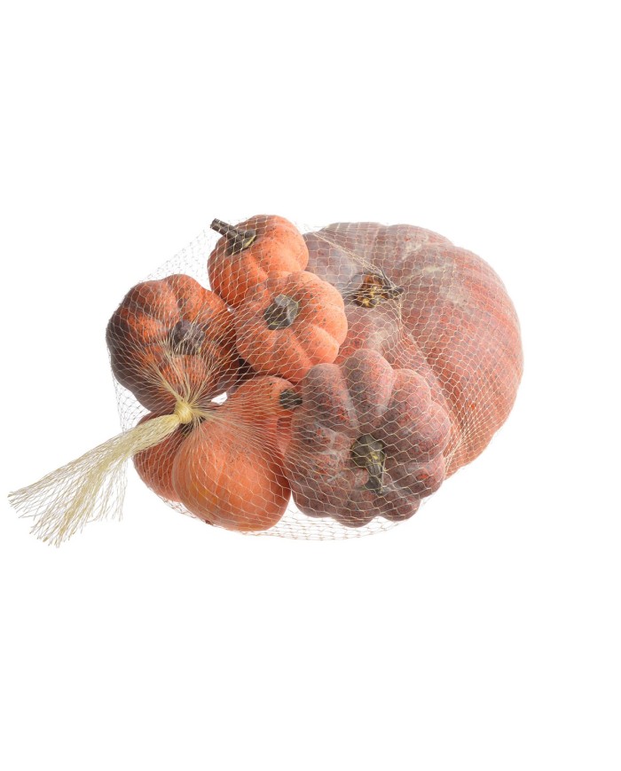 Dynie mix 7szt-pacz..7,5-23cmØ, 6,5-14cmH..24-6 bags....GR-OR