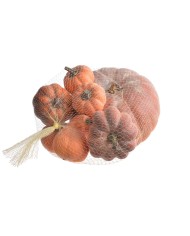 Dynie mix 7szt-pacz..7,5-23cmØ, 6,5-14cmH..24-6 bags....GR-OR