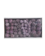 Shola Cynia paczka - susz..+-60cmH x 7cmW...6 pcs-bag