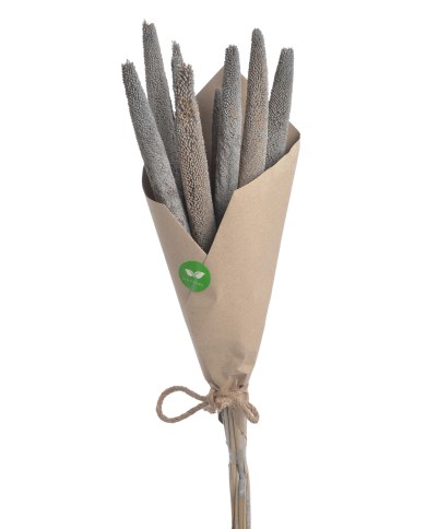 Bajra Spadix - susz..+-68cmL x 3cmW..24-24 bags..9 pcs-bag