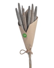 Bajra Spadix - susz..+-68cmL x 3cmW..24-24 bags..9 pcs-bag