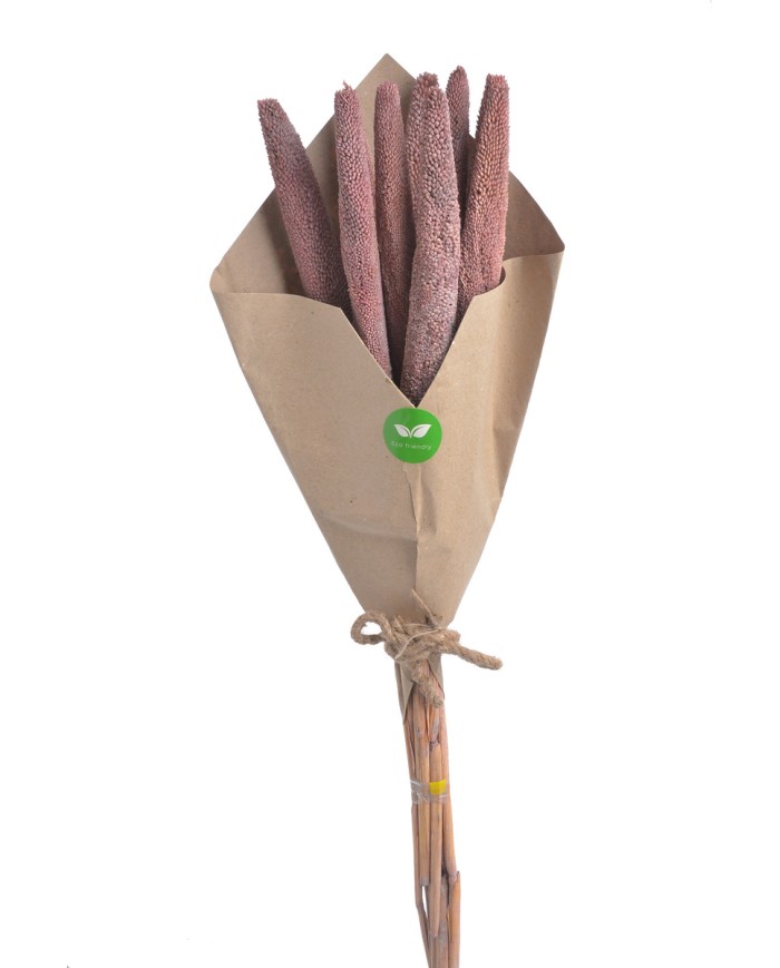 Bajra Spadix - susz..+-68cmL x 3cmW..24-24 bags..9 pcs-bag