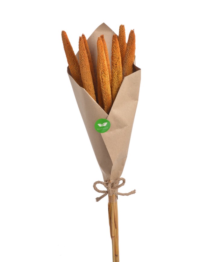 Bajra Spadix - susz..+-68cmL x 3cmW..24-24 bags..9 pcs-bag