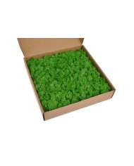 Mata z mchu 30x30cm YL-GR....12-1 pcs......YELLOW GREEN-4