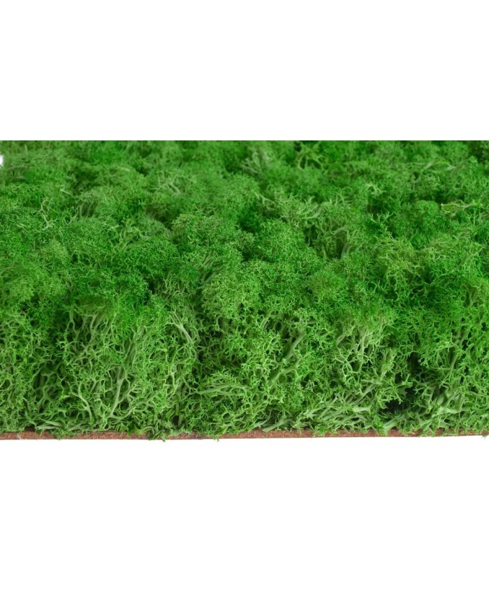 Mata z mchu 30x30cm YL-GR....12-1 pcs......YELLOW GREEN-4