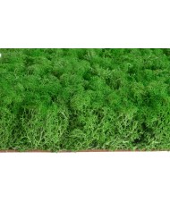 Mata z mchu 30x30cm YL-GR....12-1 pcs......YELLOW GREEN-4