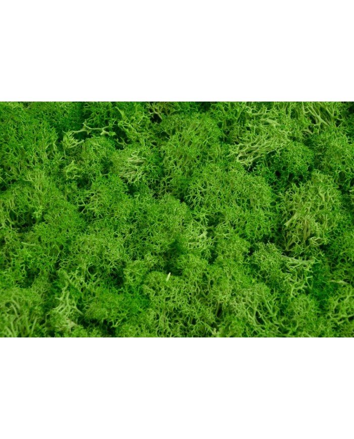 Mata z mchu 30x30cm YL-GR....12-1 pcs......YELLOW GREEN-4