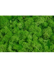 Mata z mchu 30x30cm YL-GR....12-1 pcs......YELLOW GREEN-4