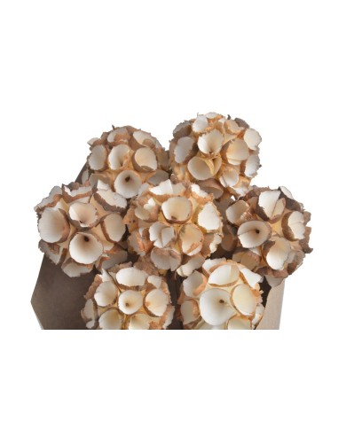 Shola Ball paczka- susz..+-45cmL x 5cmW..12-12 bags..9 pcs-bag....NATURAL