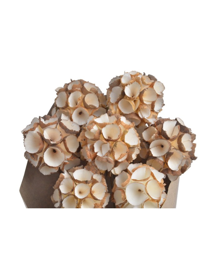 Shola Ball paczka- susz..+-45cmL x 5cmW..12-12 bags..9 pcs-bag....NATURAL