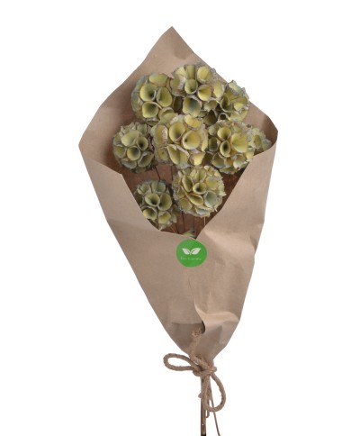 Shola Ball paczka- susz..+-45cmL x 5cmW..1-12 bags..9 pcs-bag