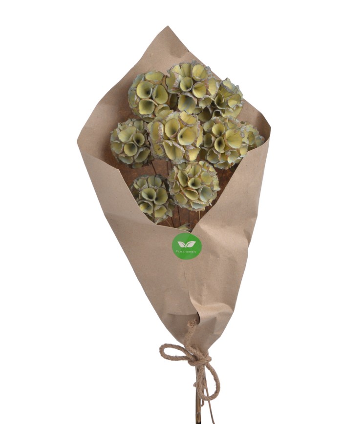 Shola Ball paczka- susz..+-45cmL x 5cmW..1-12 bags..9 pcs-bag