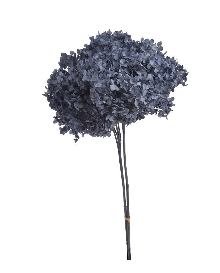 Hortensja stabilizowana 20cm - suszony kwiat preparowany..D18-25cm x 50cmH