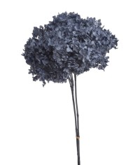 Hortensja stabilizowana 20cm - suszony kwiat preparowany..D18-25cm x 50cmH