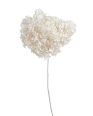 Shola Ball paczka- susz..+-45cmL x 5cmW..1-12 bags..9 pcs-bag