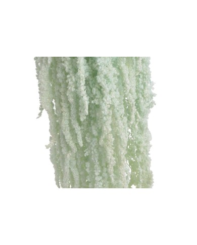 Amaranthus stabilizowany 5szt-pęcz - susz..100cmH....LIGHT BLUE