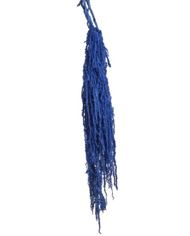 Amaranthus stabilizowany 5szt-pęcz - susz..100cmH....DARK BLUE